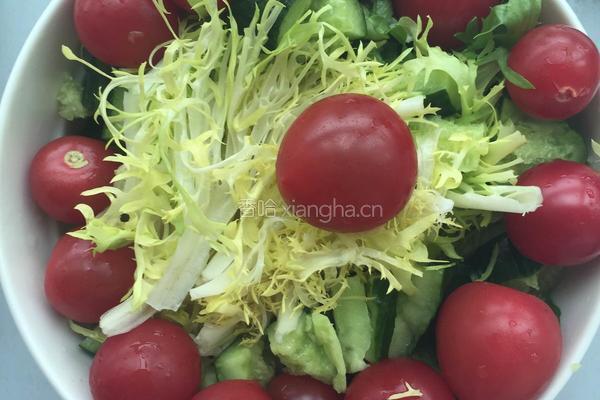 经典蔬菜沙拉的做法图解5