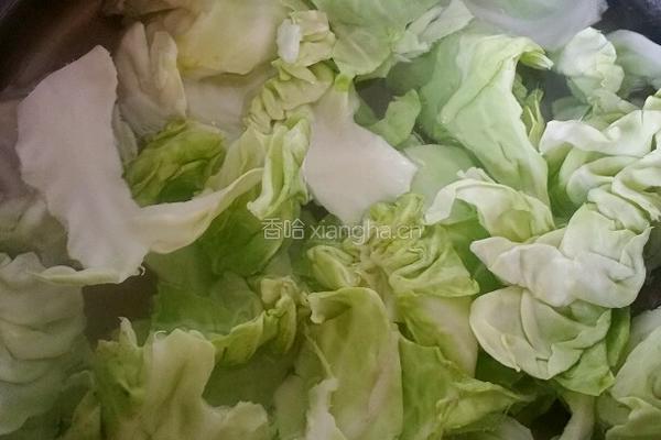 手撕凉拌包菜的做法图解3