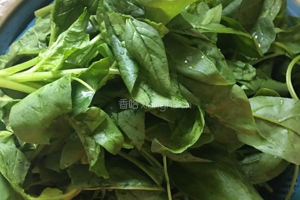 清炒菠菜的做法图解1
