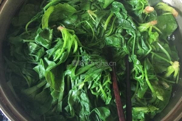 清炒菠菜的做法图解2