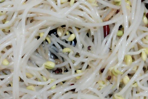 素炒辣味黄豆芽的做法图解7