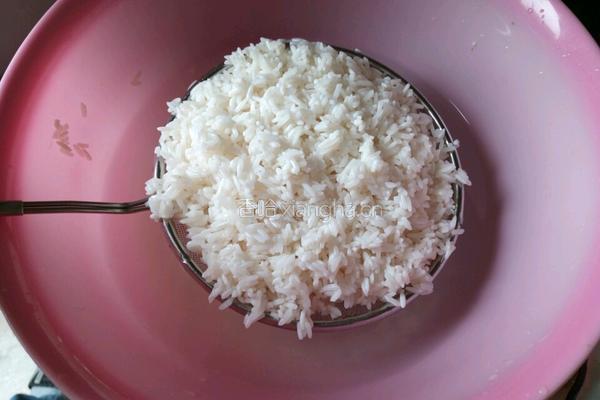 红豆蜜枣粽子的做法图解3
