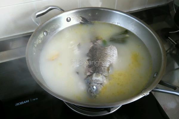 炖鱼汤的做法图解10