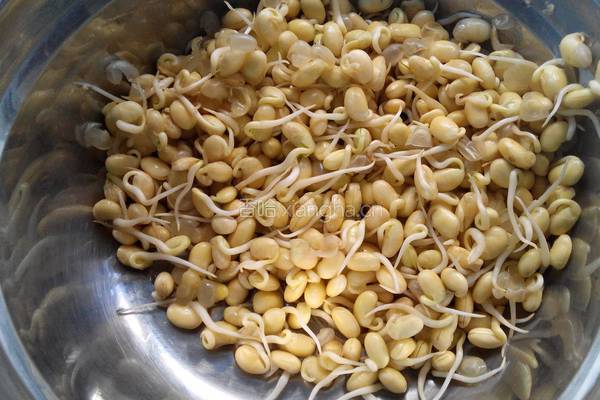 肉炒黄豆芽的做法图解1