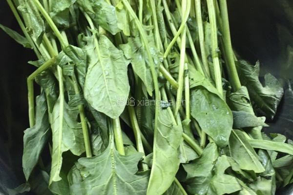 菠菜汤的做法图解2