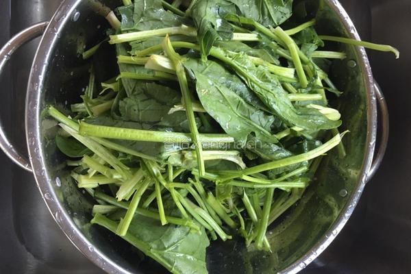 菠菜汤的做法图解3