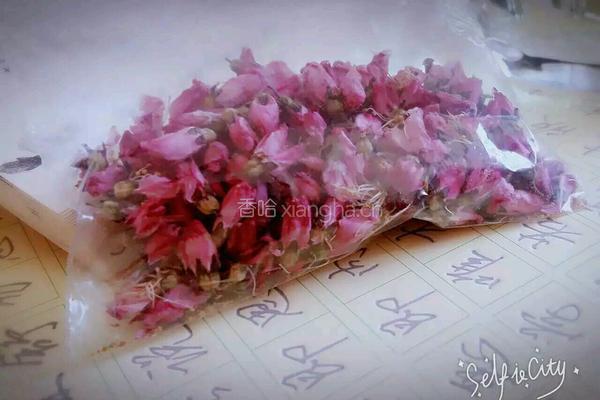 桃花茶的做法图解4