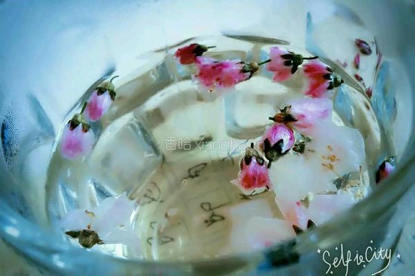 桃花茶的做法图解5