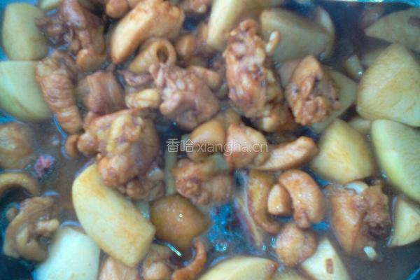 鸡肉炖土豆的做法图解7