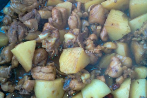 鸡肉炖土豆的做法图解9