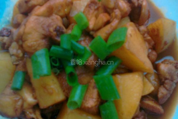 鸡肉炖土豆的做法图解10