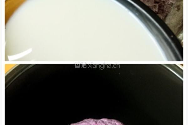 紫薯牛奶馒头的做法图解5