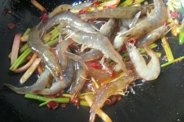 麻辣虾的做法图解5