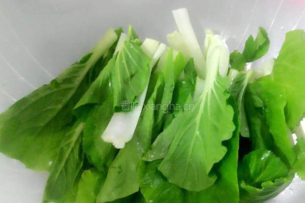 上汤小白菜的做法图解2