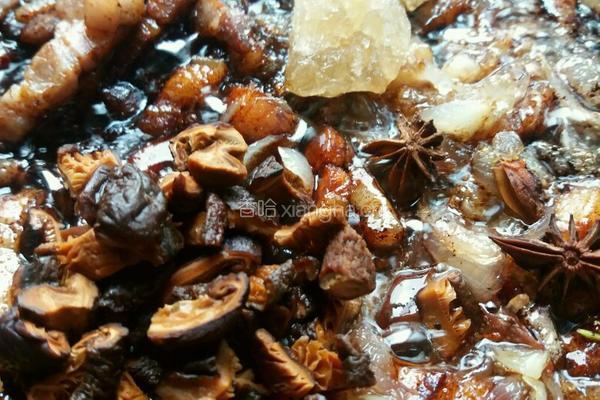 台式卤肉饭的做法图解9