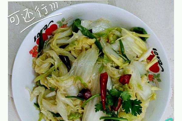 凉拌酸辣白菜的做法图解6