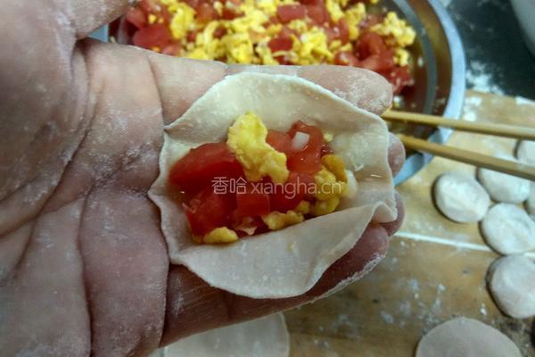 西红柿鸡蛋饺子的做法图解17