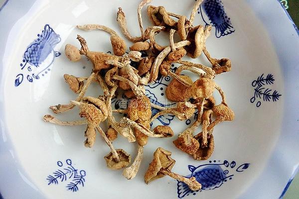 东北蘑菇酱的做法图解1