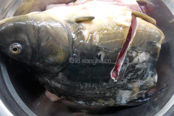 家常炖鲤鱼的做法图解2
