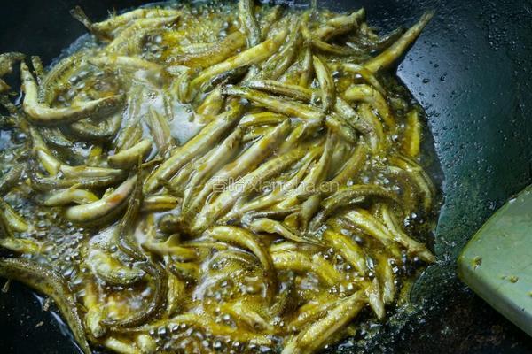干煸沙鳅的做法图解3