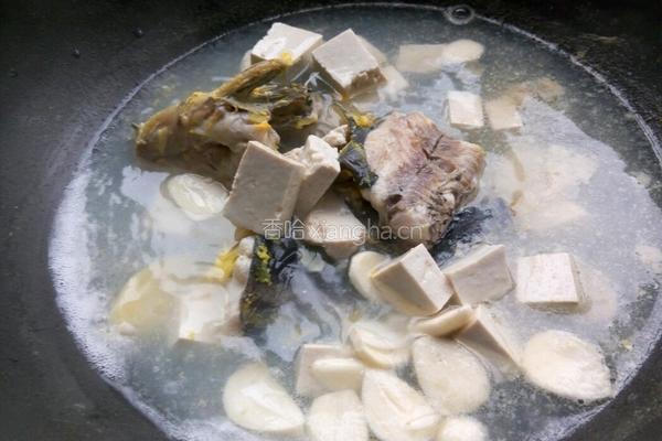 鲶鱼炖豆腐的做法图解10