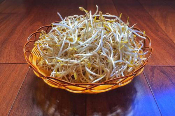 发绿豆芽的做法图解8