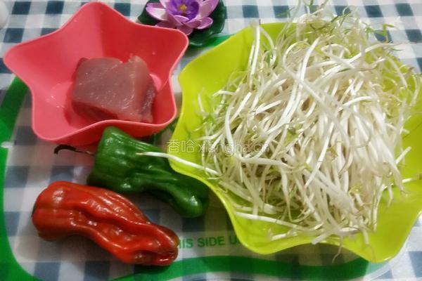 肉丝炒豆芽的做法图解1