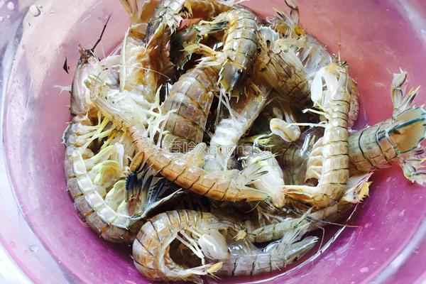 清蒸皮皮虾的做法图解2