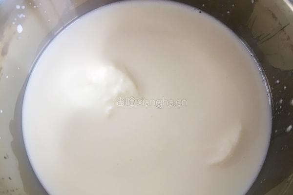 自制老酸奶的做法图解2
