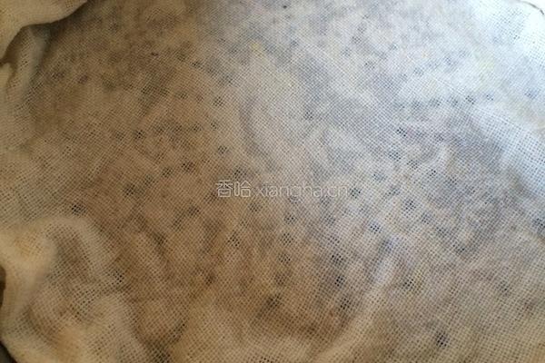 醪糟的做法图解4