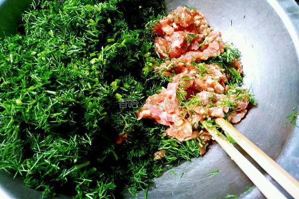 茴香饺子的做法图解2