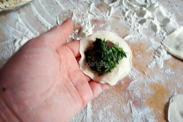茴香饺子的做法图解4