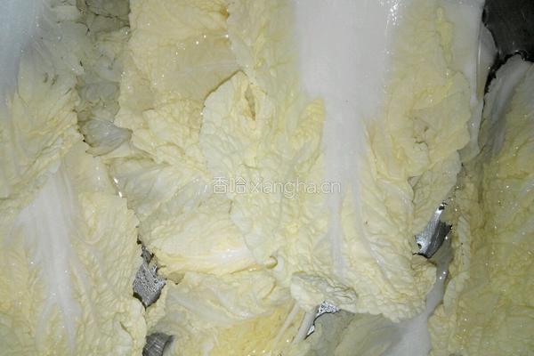 麻辣水煮鱼片的做法图解4