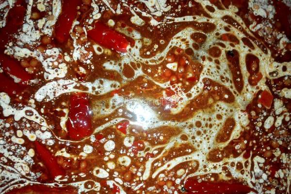 麻辣水煮鱼片的做法图解9