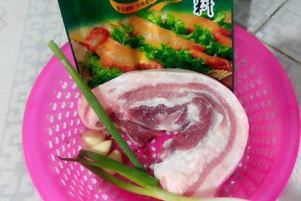 秘制煎烧五花肉的做法图解1