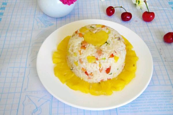 菠萝鸡肉炒饭的做法图解14