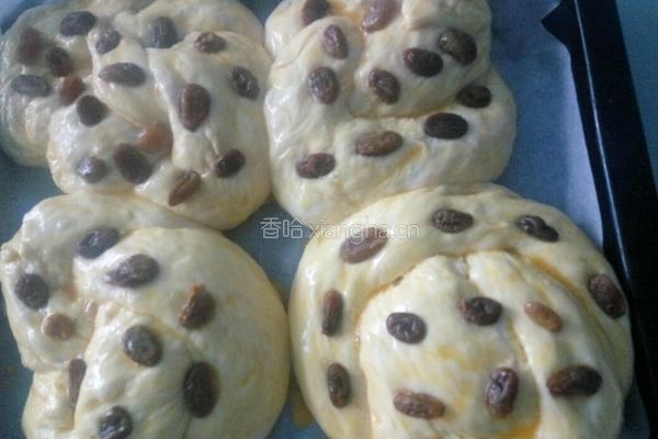 葡萄干老式面包的做法图解9