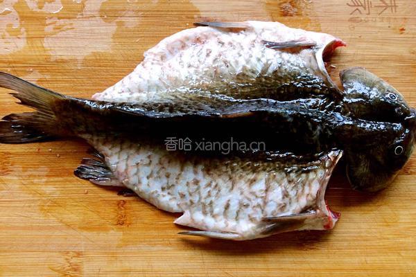 家常香辣烤鱼的做法图解5