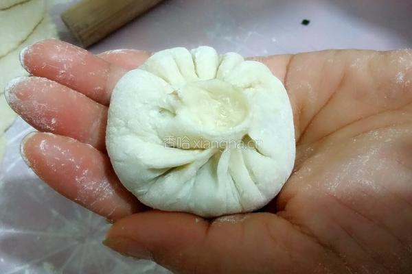 家常菜肉包子的做法图解19