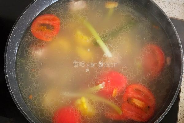 清炖排骨汤的做法图解4