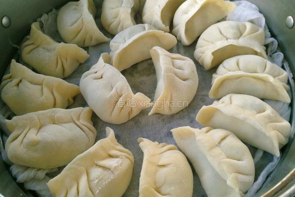 猪肉白菜饺子的做法图解15