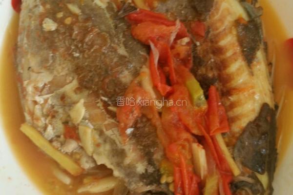 番茄鱼的做法图解5