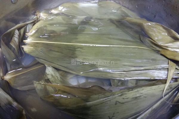 包粽子的做法图解2