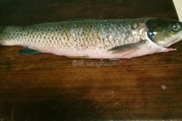 煎草鱼块的做法图解1