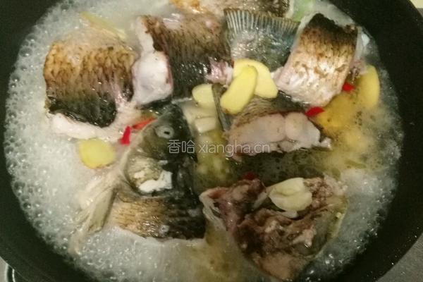 煎草鱼块的做法图解4