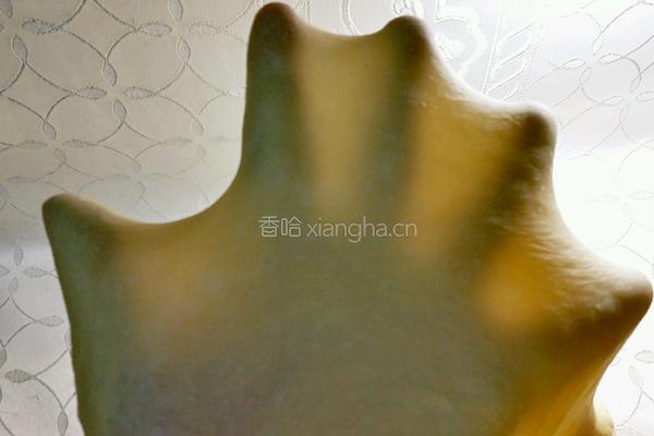 蔓越莓麵包的做法图解2