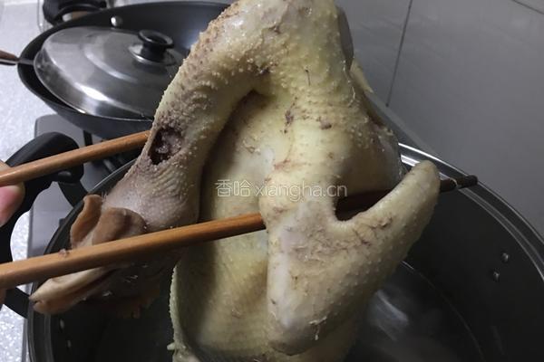 白切鸡的做法图解3