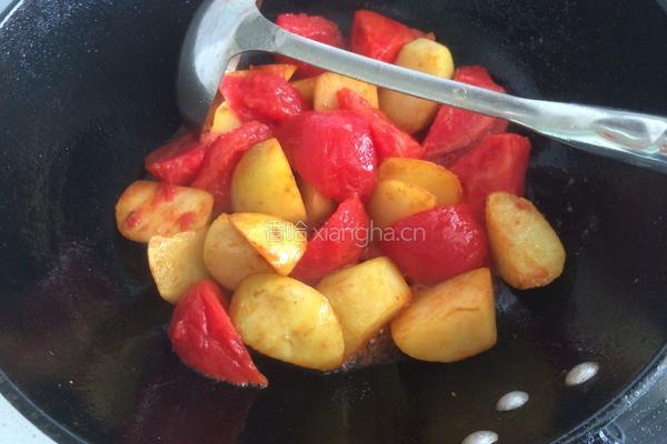 西红柿土豆炖牛肉的做法图解8
