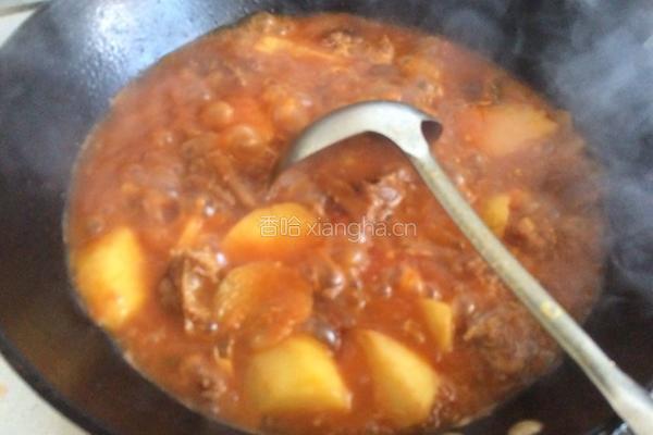 西红柿土豆炖牛肉的做法图解9