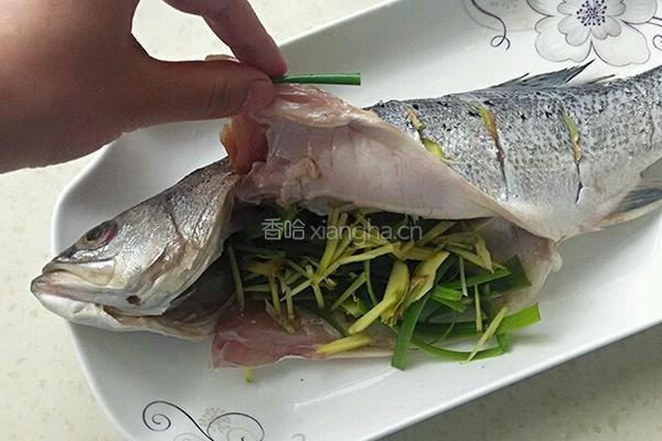 清蒸海鱼的做法图解4